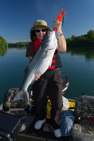 Fishing Clinch River TN May 2015