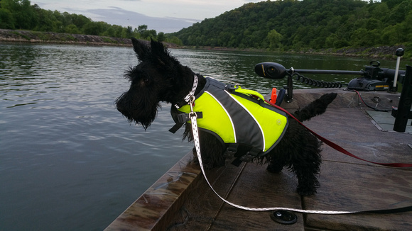 Abby 7 Months All Wet - Fishing Clinch River May 9 2019